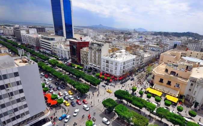 طرقات حضراء و مزهرة في تونس، و السبب مؤتمر تيكاد 
